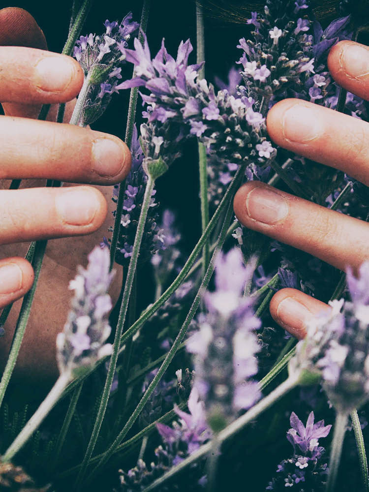 Connecting to our roots in celebration of Earth Day